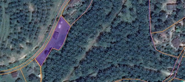 Agriculture land  at Takau – Linggi, (Jalan Linggi), Port Dickson, N9 1