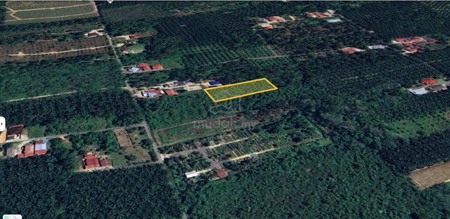 Tanah Rizab Melayu di Muar - 0.86 ekar 1