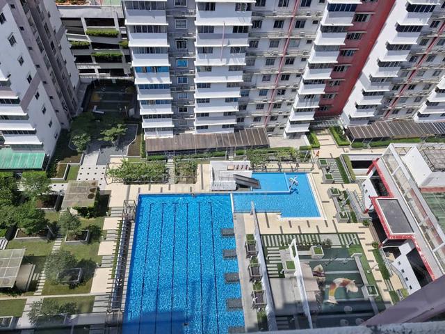 Koi Kinrara 1