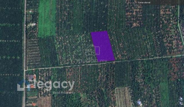 Tanah Pertanian Sawit 4 Ekar Kg Sg Pergam, Bagan Datuk Untuk Dijual 1