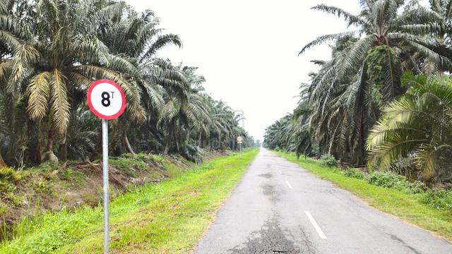 4-ac🌴Murah💥 Darat Batu (Dekat Tanjong Sepat) Banting 1
