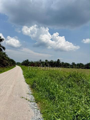 Parit Sikom 5.9 Acres Freehold Oil Palm Land  1