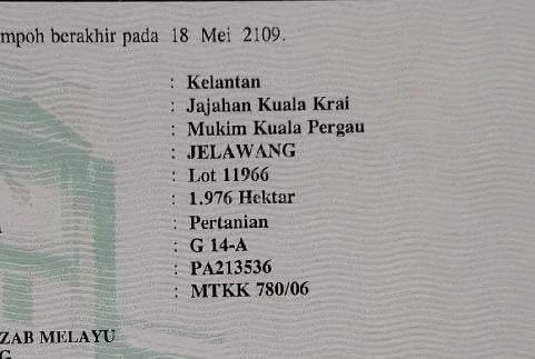Tanah pertanian ada anak sungai 1