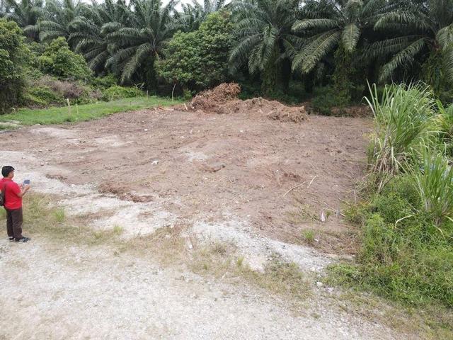 Lot Banglo Jln Tan Sri Mohamad Taib Sg Kembong Pulau Indah 1