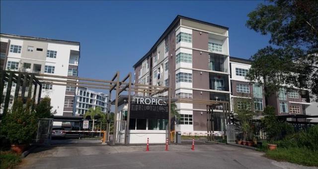 The Tropics 1