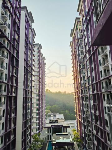 Bilik Untuk Disewa 1