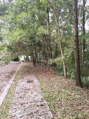 3 pieces of 1acre residential land in damai utama kinara 6 for sale 1