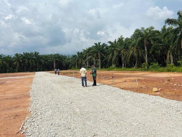 [FREEHOLD] 20 TANAH LOT INDIViDU PESERAI, BATU PAHAT 2