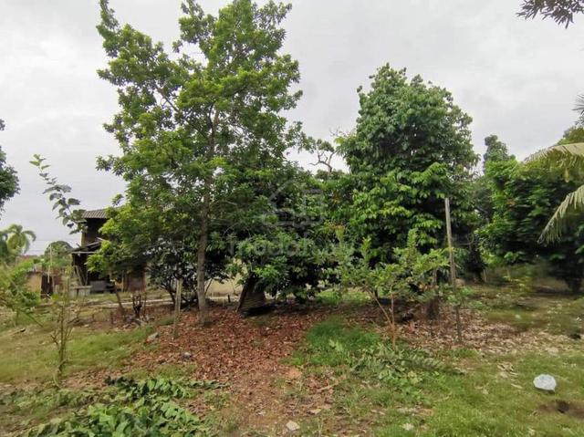 Melaka Pindah, Alor Gajah Bungalow Land for Sale 1