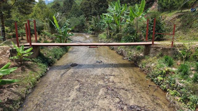 6 Acres Freehold Durian Farm With Stream Kenaboi Titi Jelebu 1
