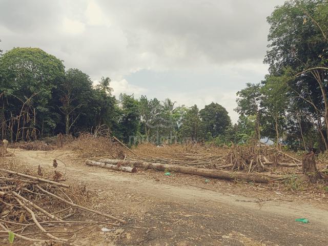 Tanah Lot Balik Pulau 1