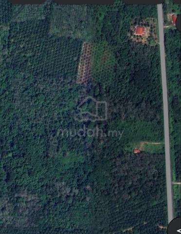 Tanah Pertanian untuk Dijual – Kampung Chepor, Lenggong, Perak 🌾 1