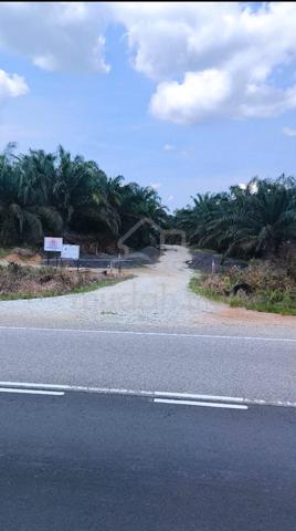 Tanah Pertanian 6 ekar di Felcra Dusun Panti KOTA TINGGI UNTUK DIJUAL 2