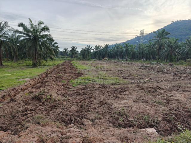 Land For Sale In BANTING, KUALA LANGAT, SELANGOR. 1