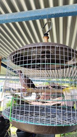 Carousel Image