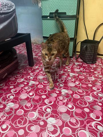 Carousel Image
