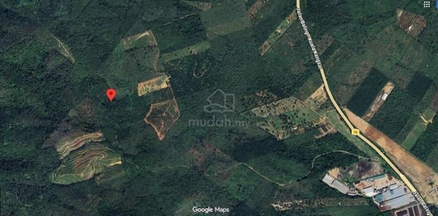 Tanah pertanian freehold untuk dijual 1