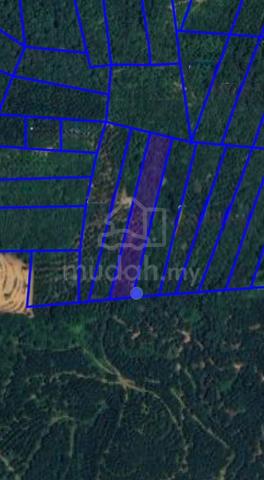 Tanah Pertanian 3.27 Ekar 1