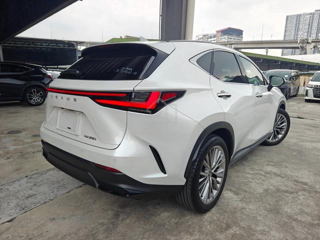 2023 Lexus NX 250 Luxury P/Roof 4Cam DIM HUD P/B.. - 2