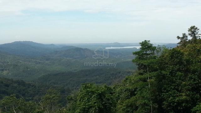Tenghilan beautiful agri land for sale with stream 1