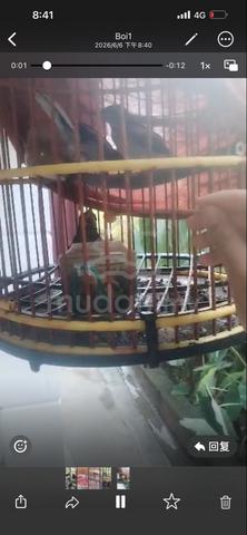 Carousel Image