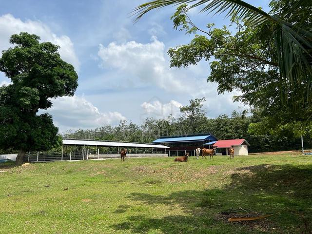 BIG SAIZ ALOR GAJAH Melaka Lot Pertanian Below Market 1