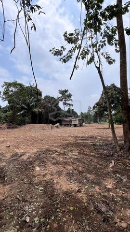 Tanah untuk disewa - Raub, Pahang (1 jam 15 minit dari KL) 1