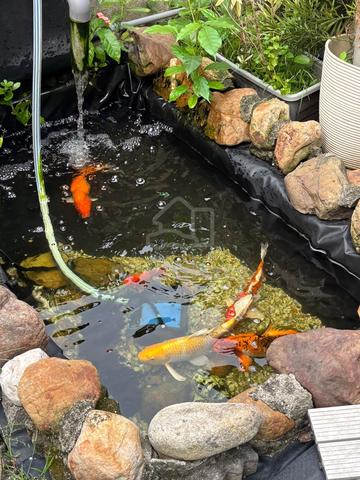 Carousel Image