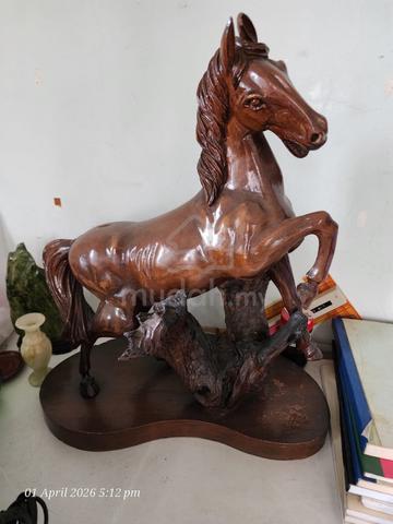 Carousel Image Selected