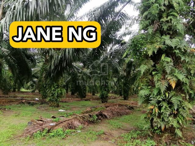 121 acres Industry Land Padang Meha Heavy Zone Title Perindustrian 1