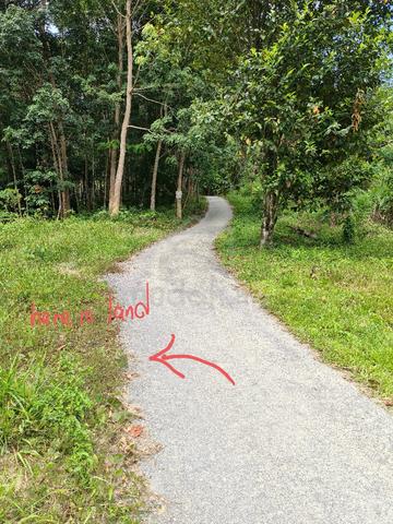 Peaceful Agricultural hill top land for sale with tar road till land 1
