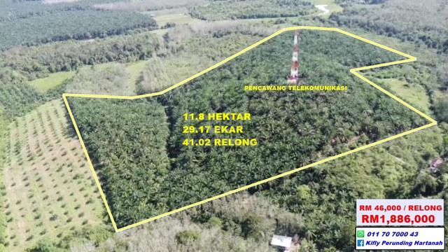 Tanah Kelapa sawit - Kg Berona - Jeniang 1