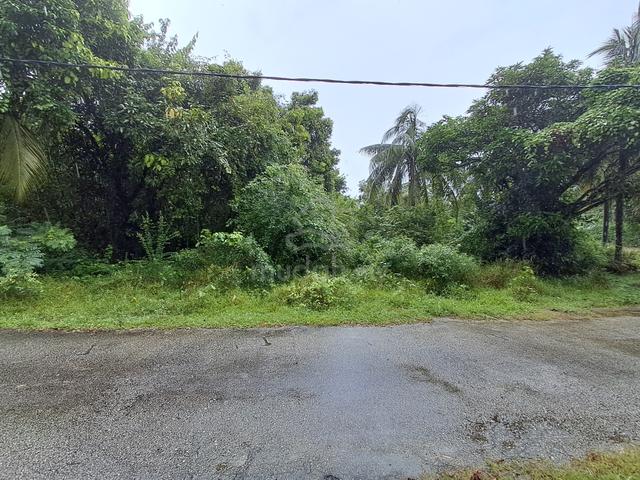 Tanah Tanjung Medang, Pekan, Pahang 4