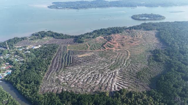 Tanjung Langsat Industrial Zone Land for Sale 1