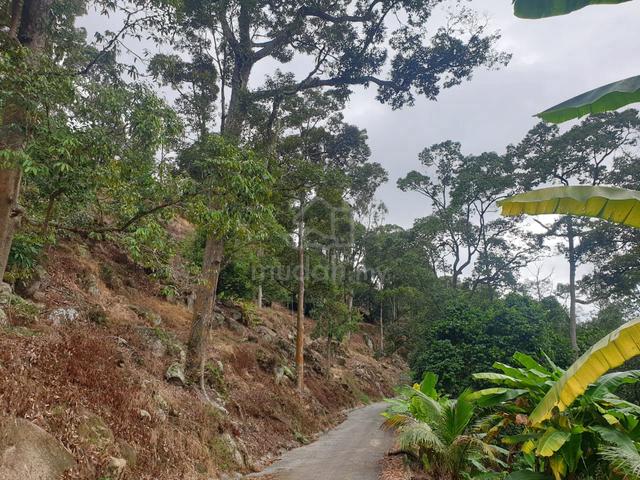 Balik Pulau Land-Tun Sandon with Durians 2