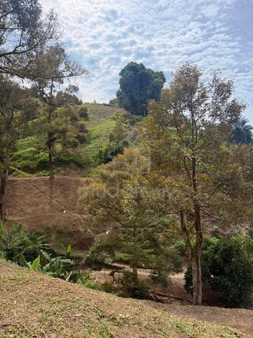 9-Acre Mature Durian Orchard for Sale – Kampung Sang Lee, Raub | Direc 1