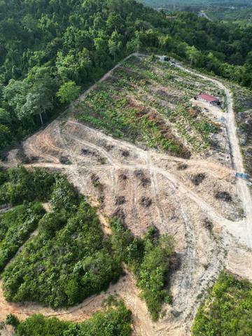 Tanah untuk dijual Kampung Kundur Hilir, Negeri Sembilan. 1