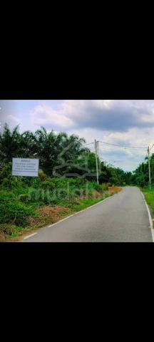 Tanah Pertanian Kampung Labu Lanjut Sepang utk dijual 2