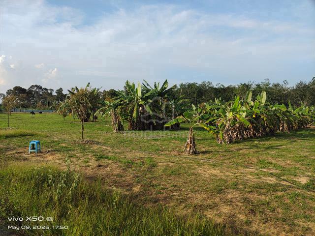 2.7 Agricultural land-Durian Farm with bungalow house Si Rusa, PD, N9 1