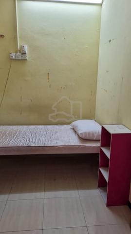 Female Rooms Rental 1