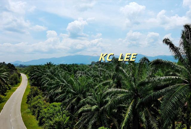 12.61 Acres Main Road Agricultural Land @ Baling , Kupang , Kedah 1