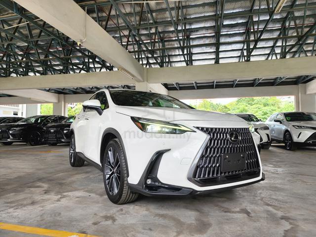 2023 Lexus NX250 2.5 VERSION-L (A) GRADE 4.5B - 1