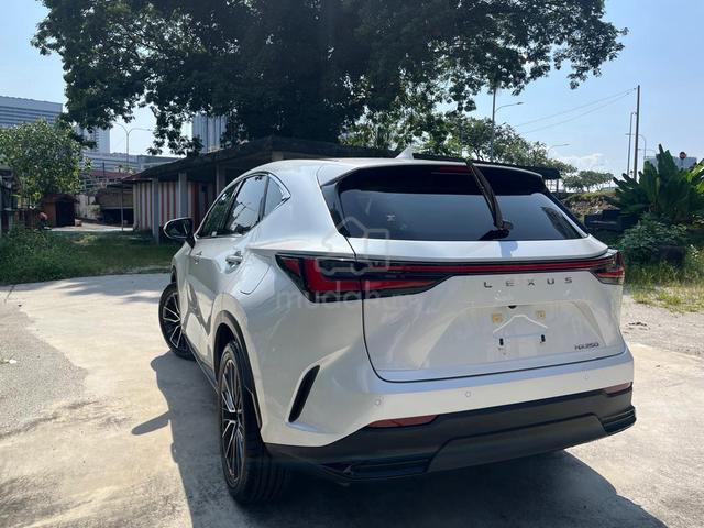2023 Lexus NX 250 2.5 LUXURY (23k Milleage ) 5A - 3