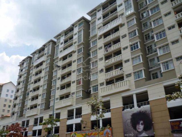 Fortune Avenue 1