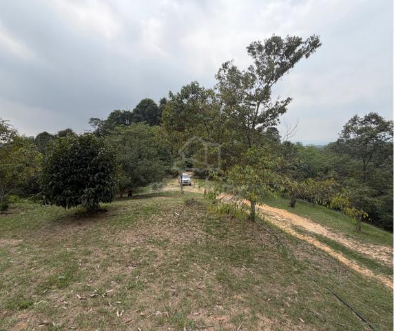 1.02 Acres Durian Land Serendah Selangor 1