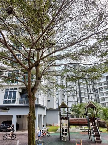 The Senai Garden 1