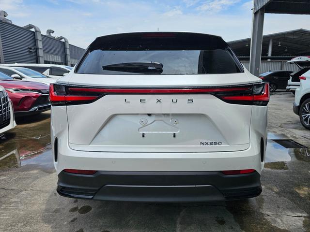 2023 Lexus NX250 2.5 P/Roof 4Cam BSM HUD Unreg - 4