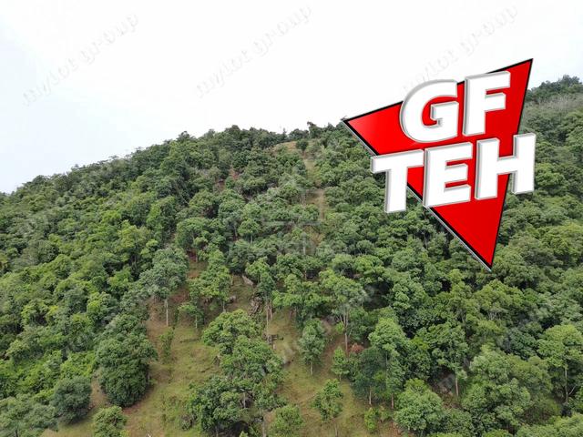 6.35acres Agricultural Land Durian Farm Sungai Lembu BM Penang 4