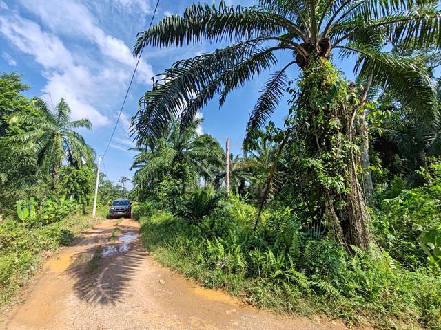 Serenia City 2 Acre Agricultural Land Want to Sell(Serenia City Behind 1