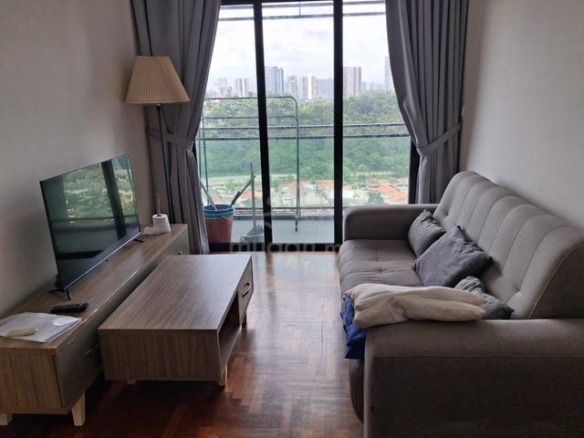 Residency V 1